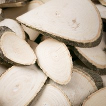 신토불이 국산 약초 엄나무(음나무) 600g, 12V9_국산엄나무(음나무)600g