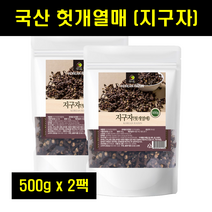 헛개나무열매 차 허깨나무 말린 지구자 국산 말린 헛개열매 헛개수 헛개나무물 국내산 500g 2팩