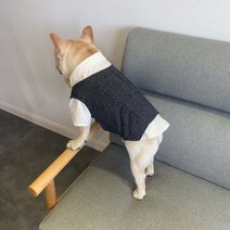 골든독 강아지 정장 턱시도 세트구성 L-4XL 소형견 중형견 중대형견 프렌치불독 잉글리쉬불독 착용가능 옷