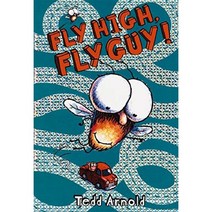 Fly Guy #5 : Fly High Fly Guy! : 플라이 가이, Scholastic