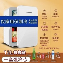 저온저장고가격 2023 새로운 미니 소형 소형 자동차 냉장고 냉동고 단일 사람 기숙사 홈 인슐린 냉장고 상자, B.폭발형 화이트 12L 플래그십 모델(강력 쿨링코어