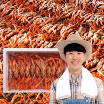 먹사부 산지직송 홍게 3kg 구룡포 연지 홍게 자숙 홍게 라면용 육수용 일반형 고급형 홍게 다리살 10~12마리 수율 택배, 2 자숙홍게 일반형(12마리)