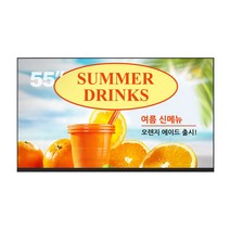 55인치 디지털사이니지 CDS5520 광고용모니터, 직배송, CDS5520 단품