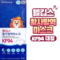 웰킵스 황사방역마스크 KF94 대형, 1장