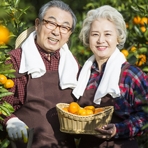 부야마켓 2022 햇 제주감귤 고당도 대과 중대과 소과 로얄과 4.5kg 9kg