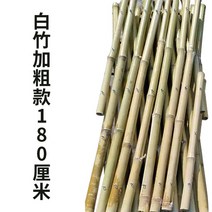 대나무 싸리울타리 자작나무 펜스 휀스 신우대 정원, 흰색 대나무 굵은 180CMx200CM