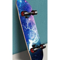 스케이트 보드 카버 파쉬 롱 댄싱 바퀴 수동 에디션, 1.프로 보드