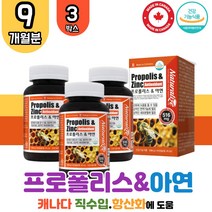 대용량 캐나다 직수입 프로폴리스 3박스 아연 네추럴라이즈 비 프로프로 플로 폴리 폴리스 플라보노이드 목이칼칼할때 목이물감 면역력높이는 목관리 구강 잔기침 환절기 항산화 영양제 효능 추천 식품 BEE PROPOLIS