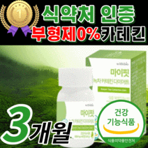 식 약 청 인증 카테킨 다이어트 그린 초록 녹차 추출물 egcg 체 내장 복부 지방 감소 도움 hdl ldl 콜레스테롤 중년 남성 여성 남자 여자 건강 식품 보조제 정품 [라풀굿], 180정(3개월) * sale up!*