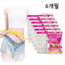 약 6개월 남자 술배 빼는 체지방감소 복부 내장 지방 가르니시아 다이어트 보조제