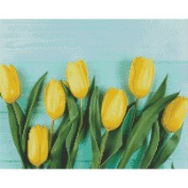 십자수/카운트원단 하모니아트 보석십자수 캔버스형 노란 튤립, 쿠팡그로우스 본상품선택