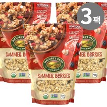 네이쳐스패스 크런치 그래놀라 썸머 베리 오트밀 312g, 3개