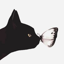 diy 명화그리기 핑크냥이 로즈캣 쿠키캣 도트캣 40x40 고양이 그림 색칠 꽃 집콕 방꾸미기 취미생활, S01 블랙캣