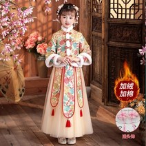 한복 반티 가 겨울 의류 패딩 두꺼운 여자 고대 옷 슈퍼 요정 결혼식 꽃 중국 양복