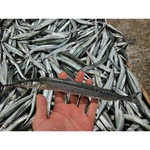 (산지직송)제철 통영 학꽁치회 350g