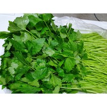 [특급] 싱싱한 국내산 참나물 2kg 4kg, 참나물 4kg