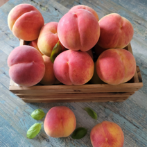 농업인 대상수상 딱딱이 말랑이 복숭아 황도 백도, 말랑이이복숭아 3kg (8-11과) 특품, 1개