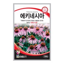 모칸도 세계종묘 꽃씨앗 에키네시아 100립