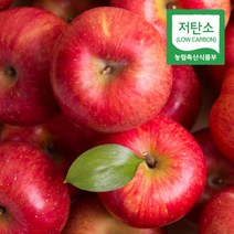 경북 의성 당도선별 사과 저탄소 홍로 부사, 1개, 정품 10kg 중과