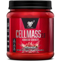 BSN 신타6 셀메스 노익스 부스터 크레아틴 워터멜론 495g 셀매스, 25서빙