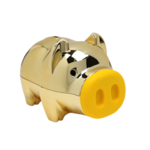 C2L 마키 골드 금 돼지 저금통 중 나눔저금통 동전저금통 캐릭터저금통 저금통 동전모금함 동물저금통 플라스틱저금통