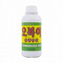 오복이 규산황 수용성 유황 규산 액상 비료 1L, 1개, 1000ml