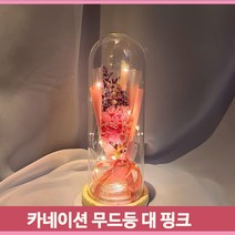 카네이션 무드등 핑크 스승의날 부모님 특별한선물
