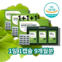 플라보놀 플라보노 배당체 공시생 70대 60대 80대 집중력 수험생 영양제 공부 할때먹는 공무원시험 징코 아연, 징코 앤 메모리 90캡슐 x3박스