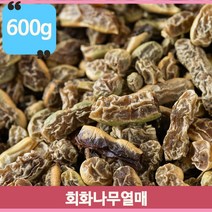 건조 회화나무열매 따뜻한차 건강차 물대용 숙성식초 다용도 콩모양 600g