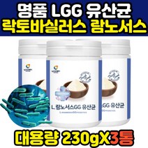락토바실러스 람노서스 미국 해외 유산균 파우더 가루 230g 3통 프라바이오틱스 50대 60대 여성 여자 남성 남자 어른 성인 생유산균