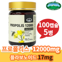 [국내배송] 사은품+네이쳐스탑 유칼립투스 고함량 프로폴리스 12000mg 100캡슐, 100캡슐 5개