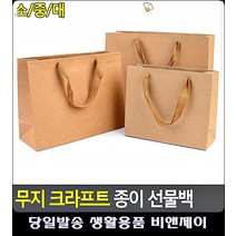 찢어짐 적은 화분선물 손잡이 종이쇼핑백 크라프트지포장 선물쇼핑백 마트봉투 문구사무용품, 중