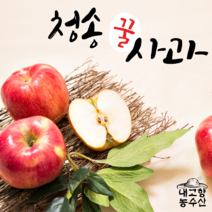 청송 사과 선물세트 설선물 명절선물 세트 꿀사과 부사 사과직거래 5kg 10kg, 가정용 흠과 주스용 8kg, 1개