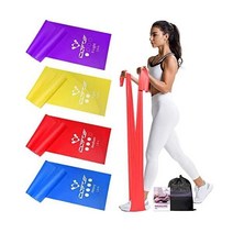 독일 아마존 Theraband Terra Band Set of 4 Fitness Bands with Resistance Levels Exercise Terraband Carry B, Red/ yellow/ blue/ purple
