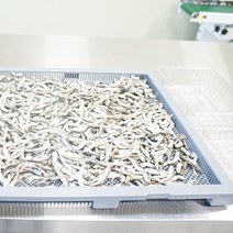 품질 상품 남해 통영멸치 1.5kg 750g 국물용 다시멸치, 다올1 750g (상품 질소포장), 다올1 본상품선택