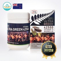 초록입홍합 울트라그린 42500 비타민D 875mg, 300캡슐 x 1박스(5개월분)