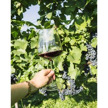 Zalto 보르도 선물 상자 2개 세트