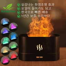 자연 가습기 기회식 천연 화산 미니 필터형 필터기, 180ml 블랙