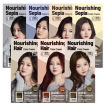 푸드어홀릭 1분 너리싱 먹물 헤어 칼라크림 7종 택1, 3N 흑갈색