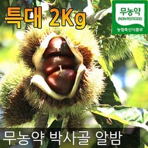 동원네알밤 리뷰 좋은 인기 상품의 최저가와 가격비교