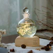 어니스트데이 디퓨저 무드등 250ml 원목 각인 하바리움 집들이 특별한 기념일 선물 실내 방향제, 02.너는빛났다, 14.클린쿨코튼(그린)