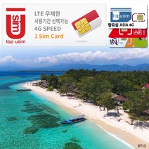 탑유심(ASIA) AIS True 인도네시아 유심 4G LTE 데이터무제한, 탑유심(ASIA) 4G 15일 데이터무제한, 1개