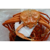 [산지직송]포항 구룡포 연지홍게 3kg, 1) 자숙연지홍게 3Kg 정품