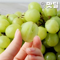 [맛딜]아삭아삭 사과포도 껍질째 먹는 애플청포도3kg, 단품