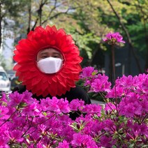 어버이날 스승의날 인간 대왕 자이언트 카네이션 머리띠, 상세페이지 참조