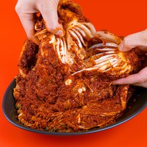 [육공푸드] 스트레스 풀리는 맛있게 매운 김치 배추 화김치, 매운포기김치 5kg
