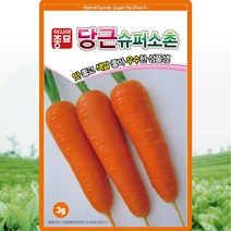 슈퍼소촌 당근 씨앗 당근 씨 종자 3g, 1개