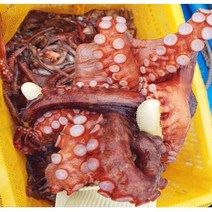 [루디번니] 문어 돌문어 통영 자연산 활 돌문어 1kg/1.2kg/1.5kg/1.8kg 문어숙회 문어회 식감좋은 돌문어, 돌문어 1.8kg/1~3미