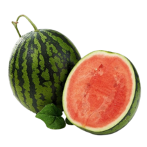 에어 안전포장 달달한 고당도 하우스 꿀 수박, 1개, 정품 하우스 꿀 수박 6kg내