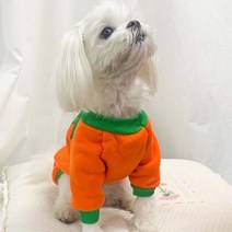 모두의 파티 데코 펫 할로윈 인쇄 후드의상- 6701129EA, 쿠팡 S-보험가입거절